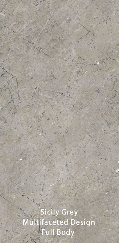 600 X 1200 MM Grijze Vintage Textured Stone Imitatie oppervlak Moderne badkamer tegels