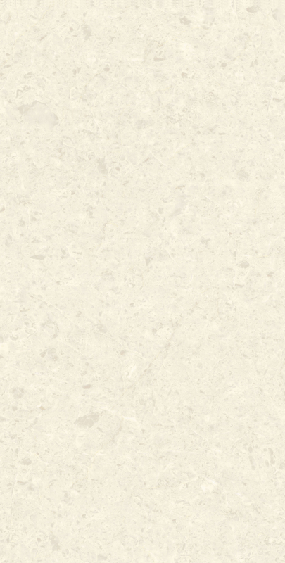 Grote witte porseleinen keramische wandvloertegels Moderne Matt Stone Textuur 600X1200mm