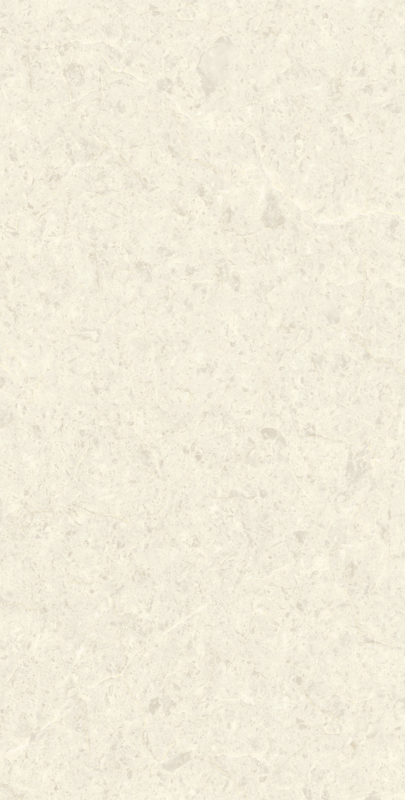 Grote witte porseleinen keramische wandvloertegels Moderne Matt Stone Textuur 600X1200mm
