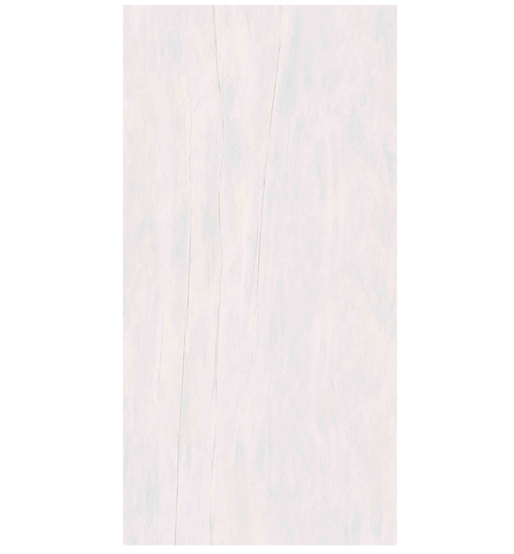 Sleek moderne stijl steeneffect porseleinen vloertegels 600x1200mm In matte/glans afwerking